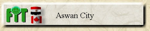 Aswan City