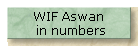 WIF Aswan 
  in numbers